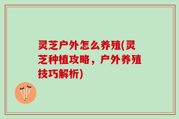 灵芝户外怎么养殖(灵芝种植攻略，户外养殖技巧解析)