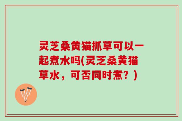 灵芝桑黄猫抓草可以一起煮水吗(灵芝桑黄猫草水，可否同时煮？)