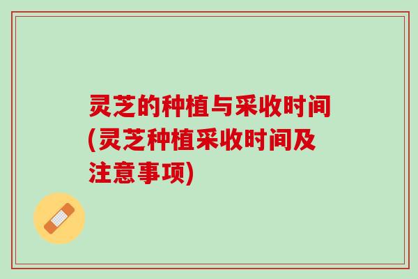 灵芝的种植与采收时间(灵芝种植采收时间及注意事项) 灵芝的种植与采收时间(灵芝种植采收时间及注意事项)