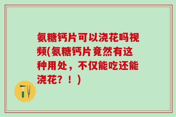 氨糖钙片可以浇花吗视频(氨糖钙片竟然有这种用处，不仅能吃还能浇花？！)