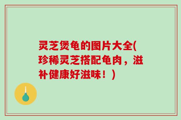灵芝煲龟的图片大全(珍稀灵芝搭配龟肉，滋补健康好滋味！)