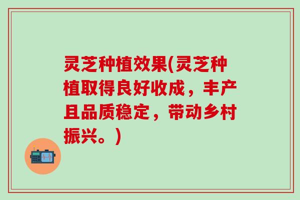 灵芝种植效果(灵芝种植取得良好收成，丰产且品质稳定，带动乡村振兴。)