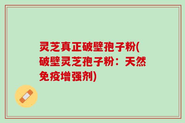 灵芝真正破壁孢子粉(破壁灵芝孢子粉：天然免疫增强剂)