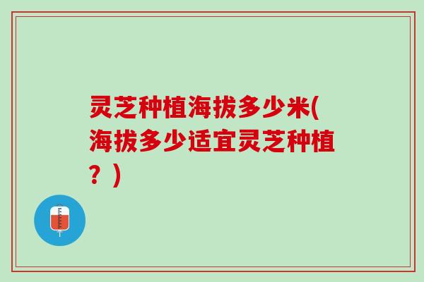 灵芝种植海拔多少米(海拔多少适宜灵芝种植？)