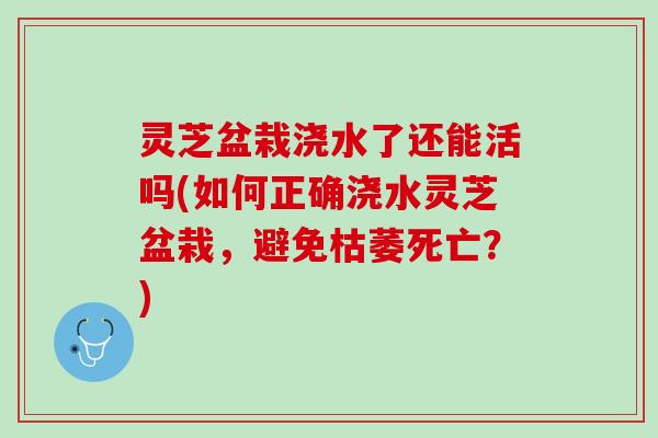 灵芝盆栽浇水了还能活吗(如何正确浇水灵芝盆栽，避免枯萎死亡？)