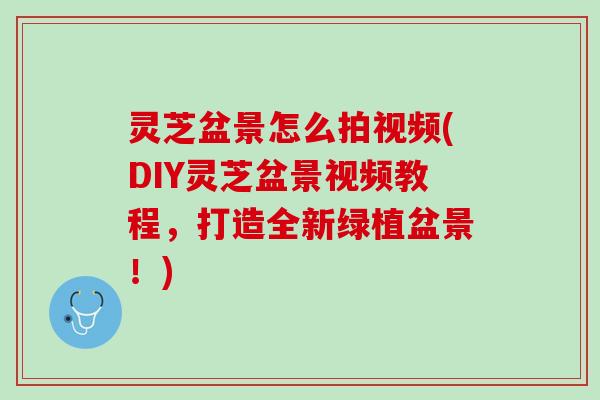 灵芝盆景怎么拍视频(DIY灵芝盆景视频教程，打造全新绿植盆景！)
