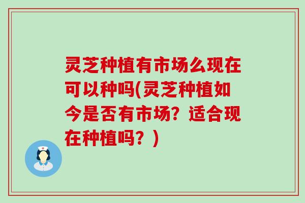 灵芝种植有市场么现在可以种吗(灵芝种植如今是否有市场？适合现在种植吗？)