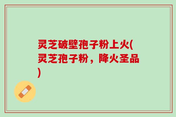 灵芝破壁孢子粉上火(灵芝孢子粉，降火圣品)