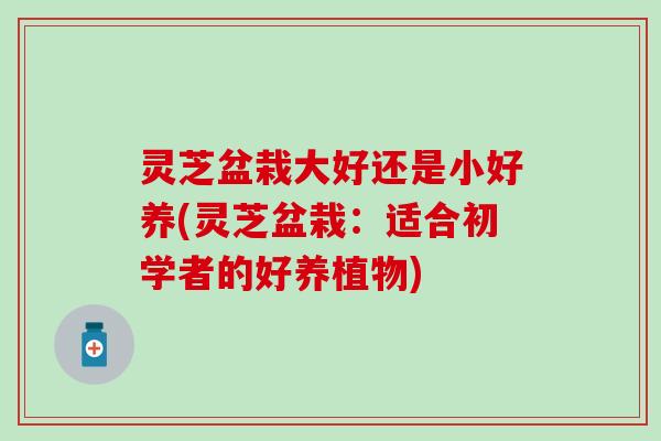 灵芝盆栽大好还是小好养(灵芝盆栽：适合初学者的好养植物)