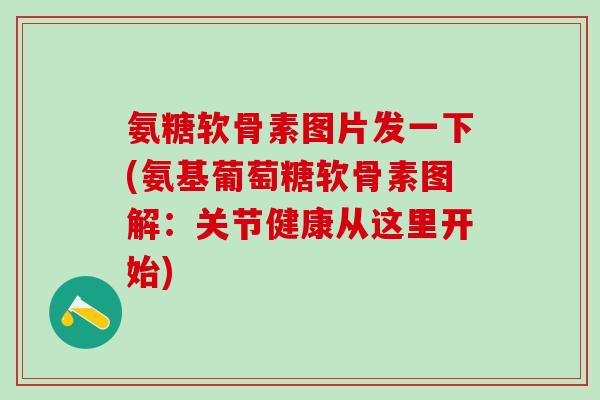 氨糖软骨素图片发一下(氨基葡萄糖软骨素图解：关节健康从这里开始)