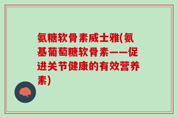 氨糖软骨素威士雅(氨基葡萄糖软骨素——促进关节健康的有效营养素)