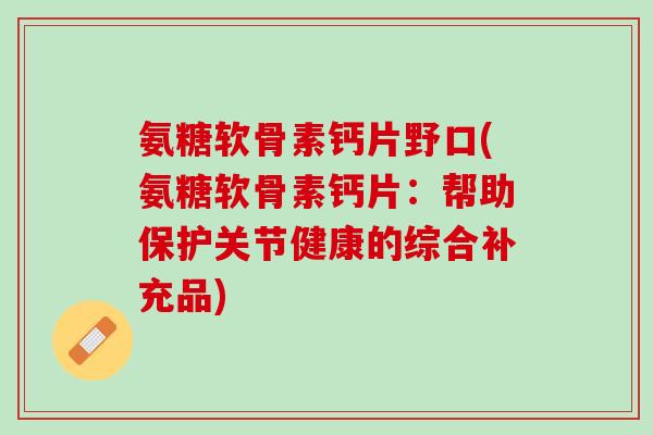 氨糖软骨素钙片野口(氨糖软骨素钙片：帮助保护关节健康的综合补充品)
