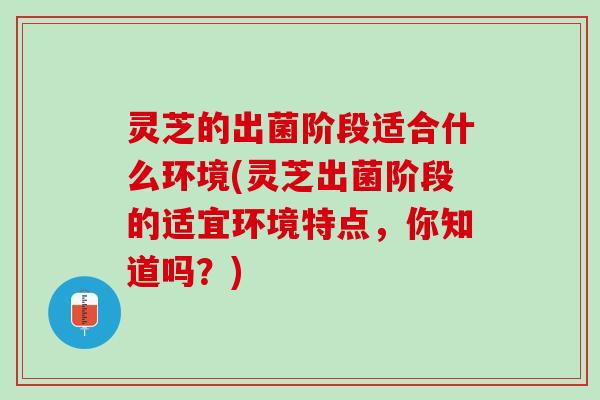 灵芝的出菌阶段适合什么环境(灵芝出菌阶段的适宜环境特点，你知道吗？)