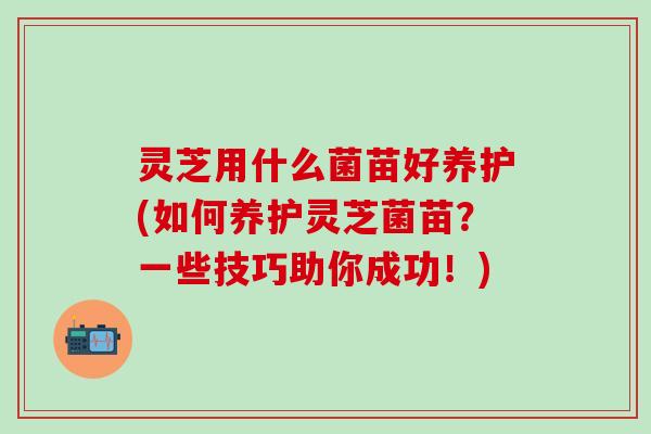 灵芝用什么菌苗好养护(如何养护灵芝菌苗？一些技巧助你成功！)