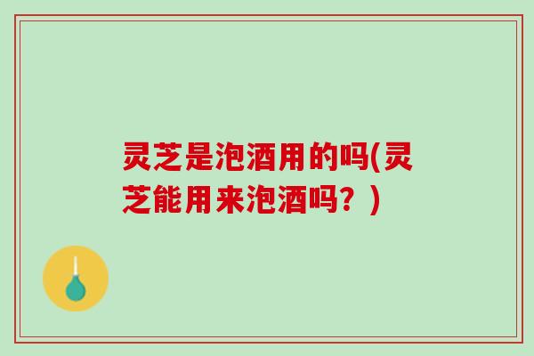 灵芝是泡酒用的吗(灵芝能用来泡酒吗？)