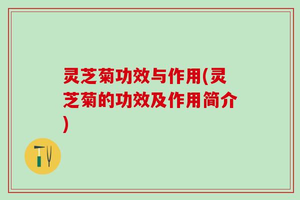 灵芝菊功效与作用(灵芝菊的功效及作用简介)