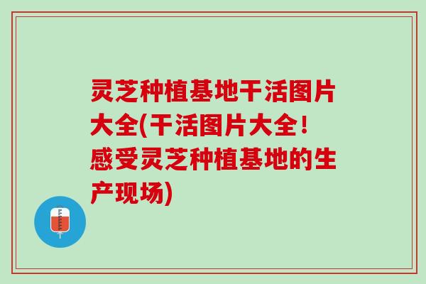 灵芝种植基地干活图片大全(干活图片大全！感受灵芝种植基地的生产现场)