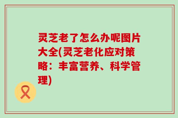 灵芝老了怎么办呢图片大全(灵芝老化应对策略：丰富营养、科学管理)