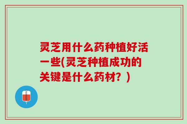 灵芝用什么药种植好活一些(灵芝种植成功的关键是什么药材？)