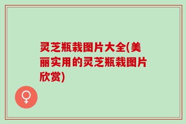 灵芝瓶栽图片大全(美丽实用的灵芝瓶栽图片欣赏)
