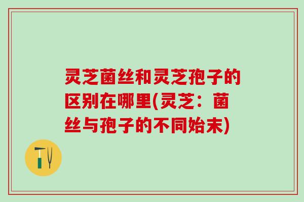 灵芝菌丝和灵芝孢子的区别在哪里(灵芝：菌丝与孢子的不同始末)