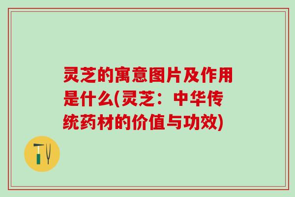 灵芝的寓意图片及作用是什么(灵芝：中华传统药材的价值与功效)