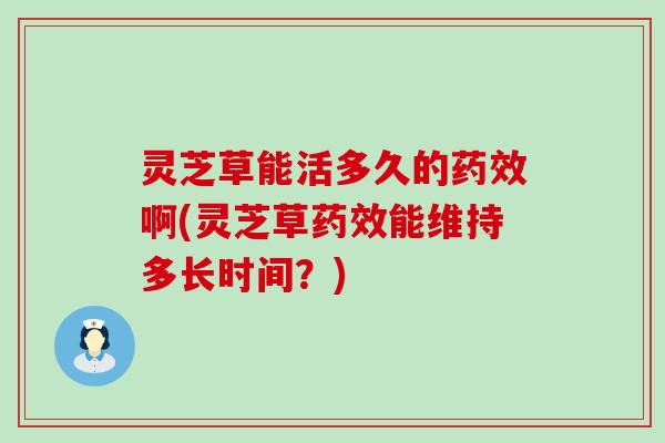 灵芝草能活多久的药效啊(灵芝草药效能维持多长时间？)