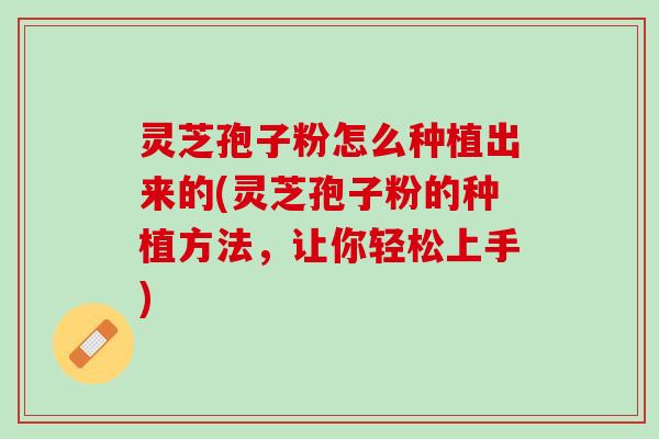 灵芝孢子粉怎么种植出来的(灵芝孢子粉的种植方法，让你轻松上手)