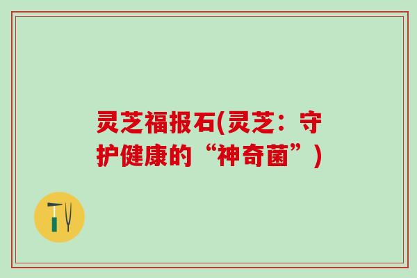 灵芝福报石(灵芝：守护健康的“神奇菌”)