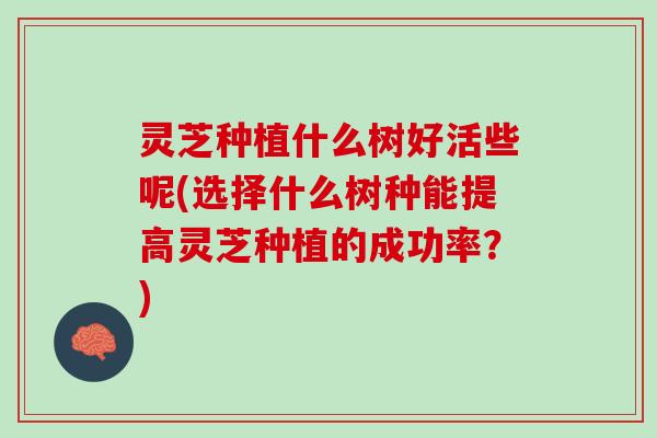 灵芝种植什么树好活些呢(选择什么树种能提高灵芝种植的成功率？)