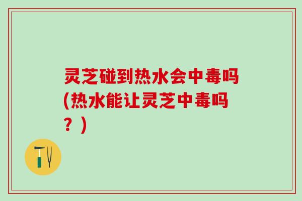 灵芝碰到热水会中毒吗(热水能让灵芝中毒吗？)
