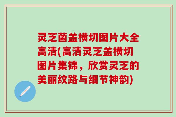灵芝菌盖横切图片大全高清(高清灵芝盖横切图片集锦，欣赏灵芝的美丽纹路与细节神韵)