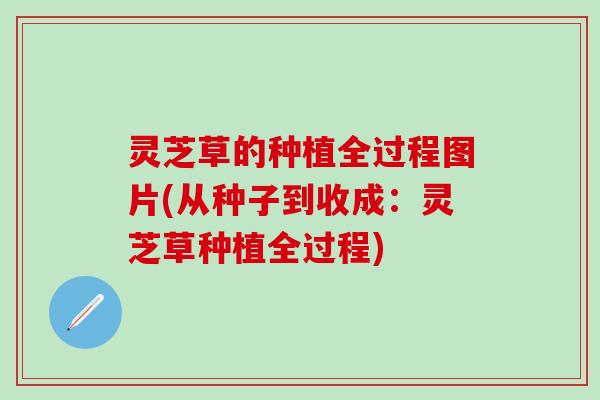 灵芝草的种植全过程图片(从种子到收成：灵芝草种植全过程)