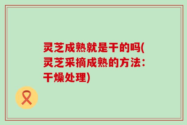 灵芝成熟就是干的吗(灵芝采摘成熟的方法:干燥处理) 灵芝成熟就是干的吗(灵芝采摘成熟的方法:干燥处理)