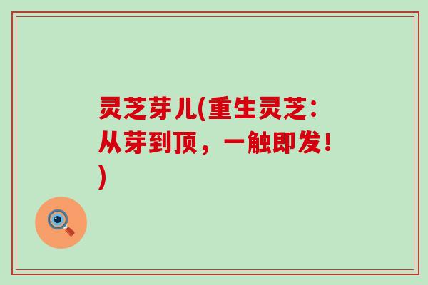 灵芝芽儿(重生灵芝：从芽到顶，一触即发！)