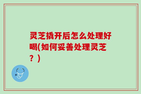 灵芝撬开后怎么处理好喝(如何妥善处理灵芝？)