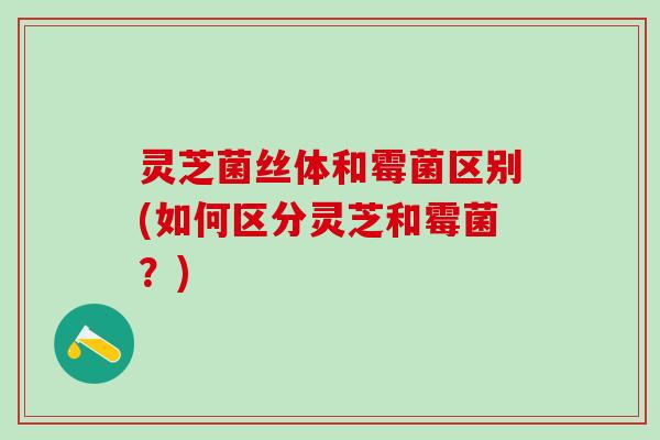 灵芝菌丝体和霉菌区别(如何区分灵芝和霉菌？)