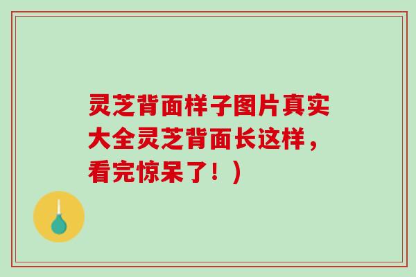 灵芝背面样子图片真实大全灵芝背面长这样，看完惊呆了！)