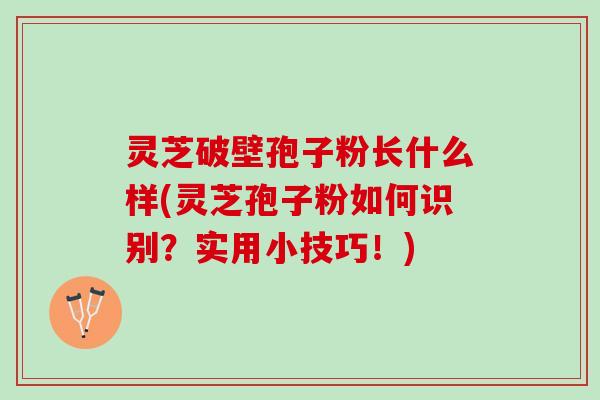 灵芝破壁孢子粉长什么样(灵芝孢子粉如何识别？实用小技巧！)