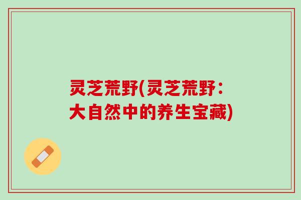 灵芝荒野(灵芝荒野：大自然中的养生宝藏)