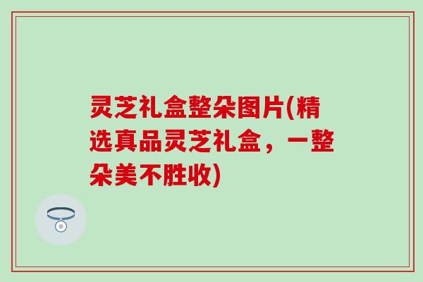 灵芝礼盒整朵图片(精选真品灵芝礼盒，一整朵美不胜收)