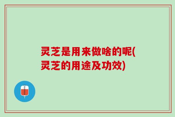 灵芝是用来做啥的呢(灵芝的用途及功效)