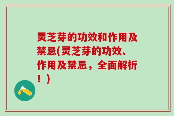 灵芝芽的功效和作用及禁忌(灵芝芽的功效、作用及禁忌，全面解析！)