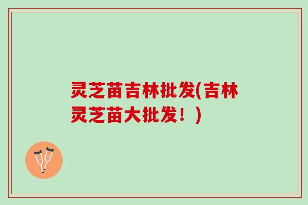 灵芝苗吉林批发(吉林灵芝苗大批发！)