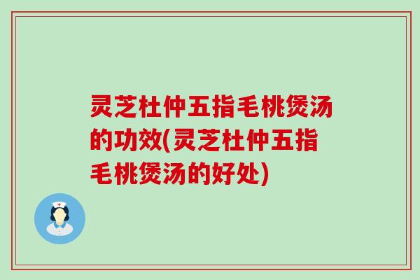 灵芝杜仲五指毛桃煲汤的功效(灵芝杜仲五指毛桃煲汤的好处)