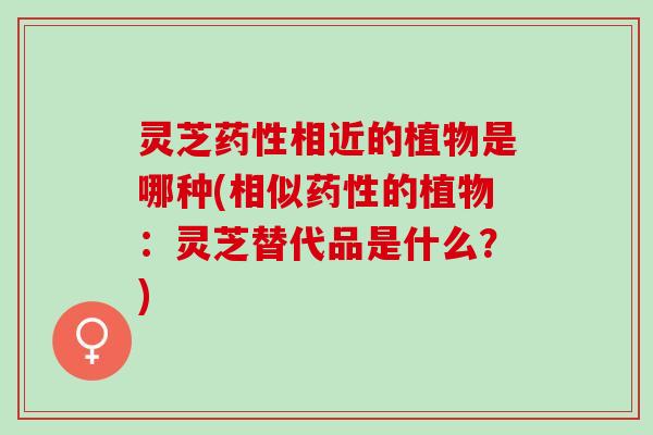 灵芝药性相近的植物是哪种(相似药性的植物：灵芝替代品是什么？)