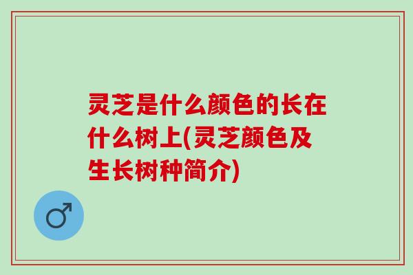 灵芝是什么颜色的长在什么树上(灵芝颜色及生长树种简介)