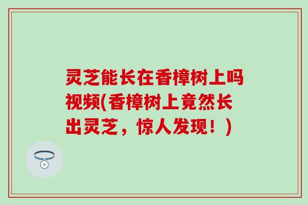 灵芝能长在香樟树上吗视频(香樟树上竟然长出灵芝，惊人发现！)