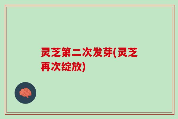 灵芝第二次发芽(灵芝再次绽放)