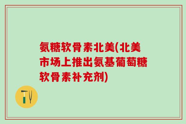 氨糖软骨素北美(北美市场上推出氨基葡萄糖软骨素补充剂)